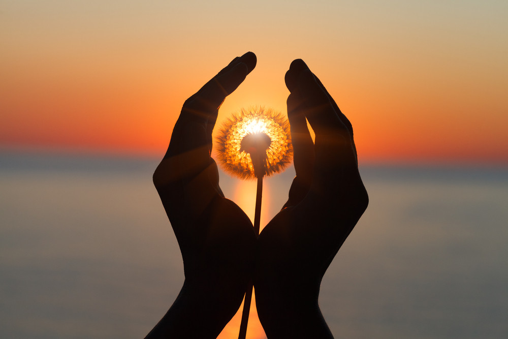 Reinkarnation: Foto: © Alina Kruk / shutterstock / #1717856833 Reinkarnation: Foto: © Alina Kruk / shutterstock / #1717856833